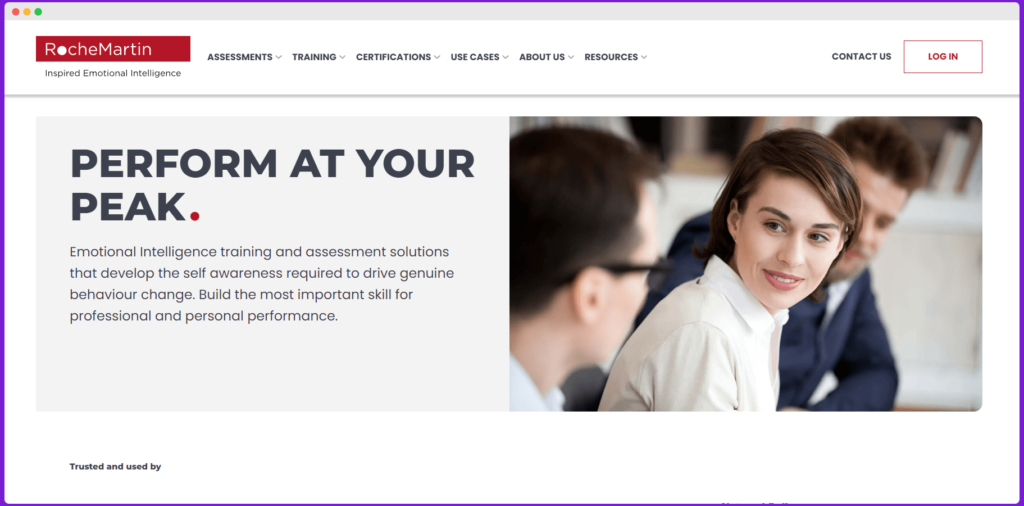 RocheMartin website homepage screenshot